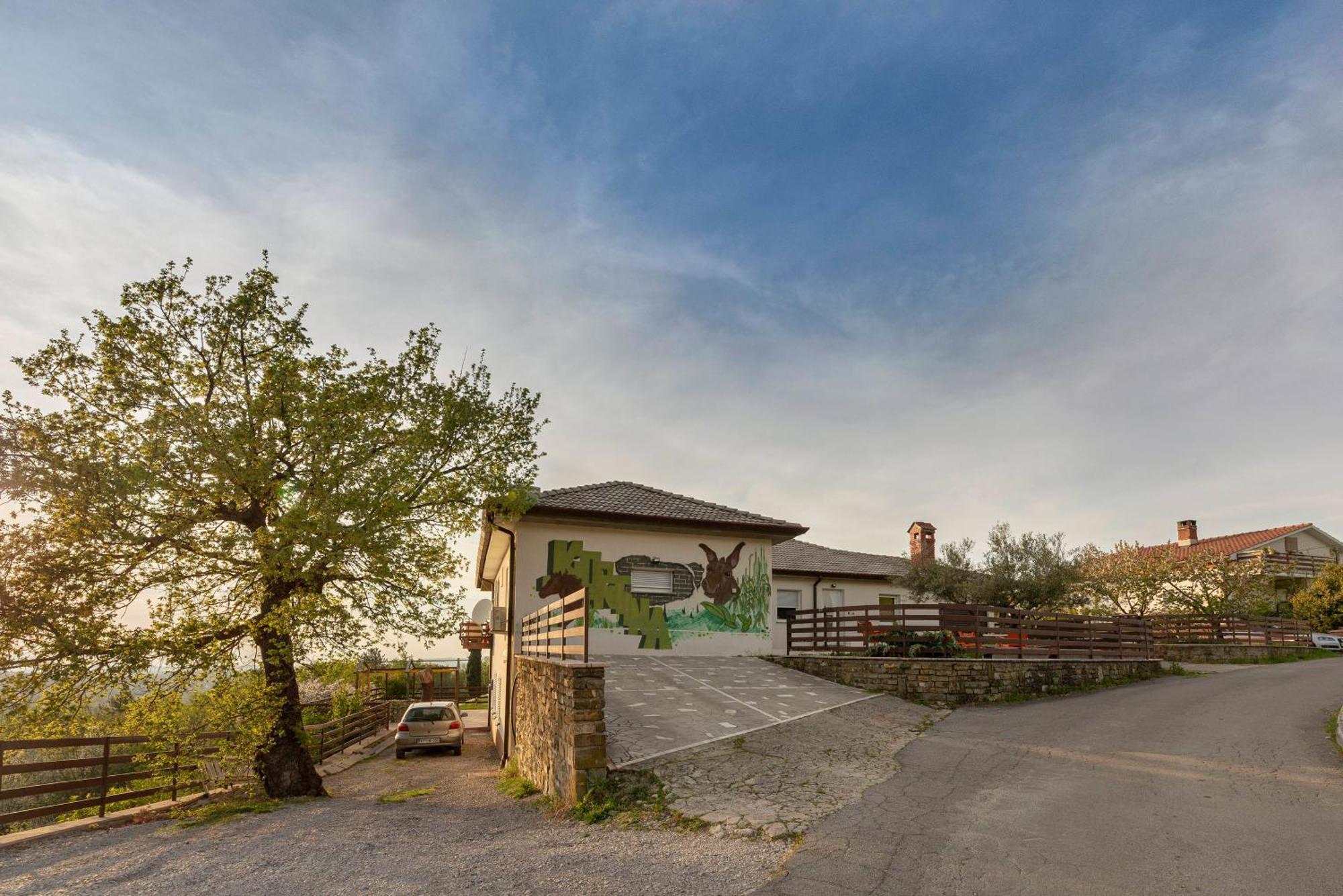 Apartments Souranded By Forest With Sea View Копер Экстерьер фото